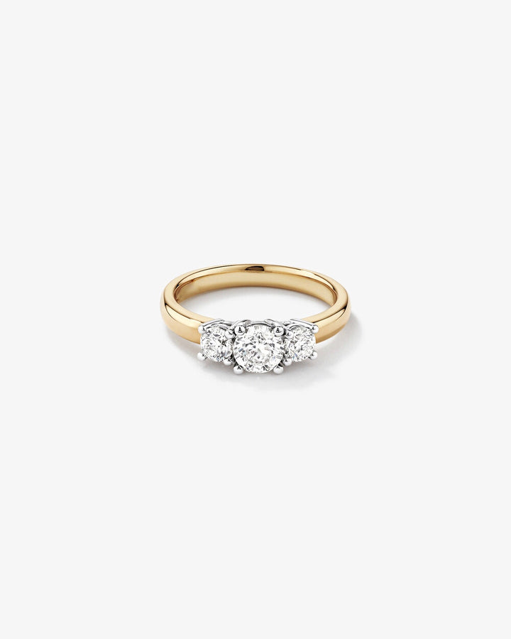 1.00 Carat TW Three Stone Round Brilliant Diamond Engagement Ring in 14kt Yellow and White Gold